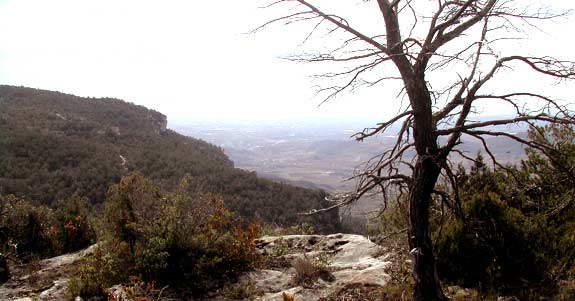 dscn2147g.jpg