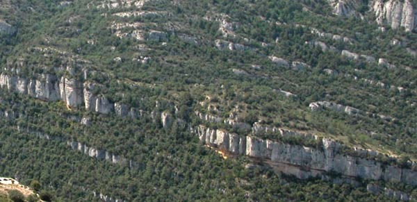 La Llibreria en el MOntsant