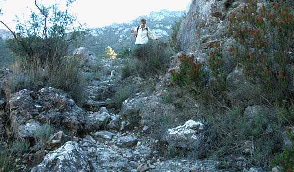 la Barrancada en Vandellos