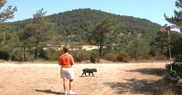 Pico de la Mussara