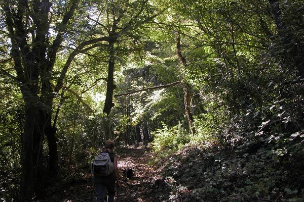 Sendero 3